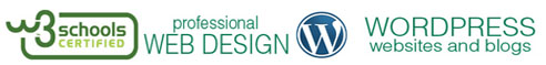 professional web design