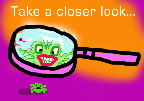 take-a-closer-look